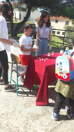 IMG-20210514-WA0081