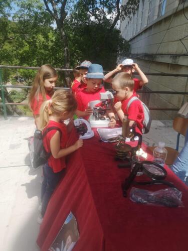 IMG-20210514-WA0150