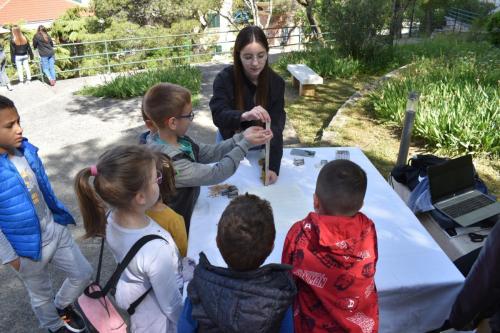 343658010 803371254545368 7522859744711351435 n