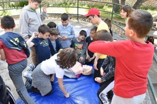 343729591 728031182443989 2541063530800066057 n