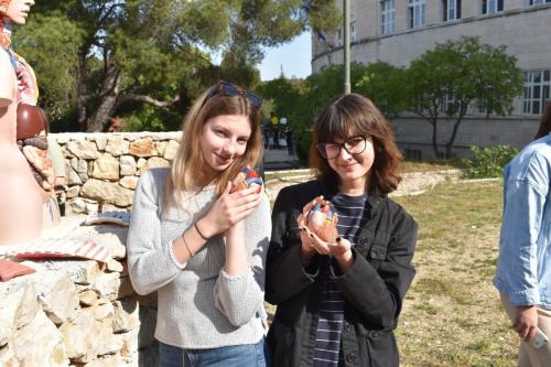 343758009 917402522803491 4346881884517947579 n