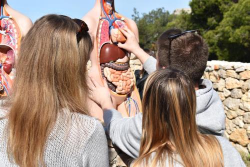 343922793 225902810129274 5236323938227413866 n