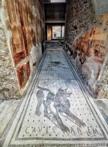 cave-canem-na-wejsciu-do-domu-poety-tragicznego